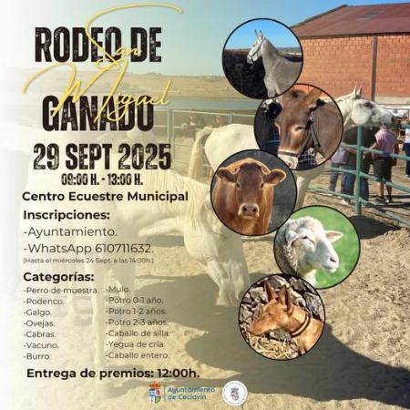 Imagen 29 de Septiembre - Rodeo-feria de ganado