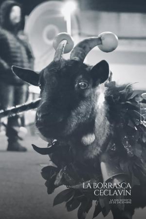 Imagen Bases para la participación en el desfile de La Machorrita 2025